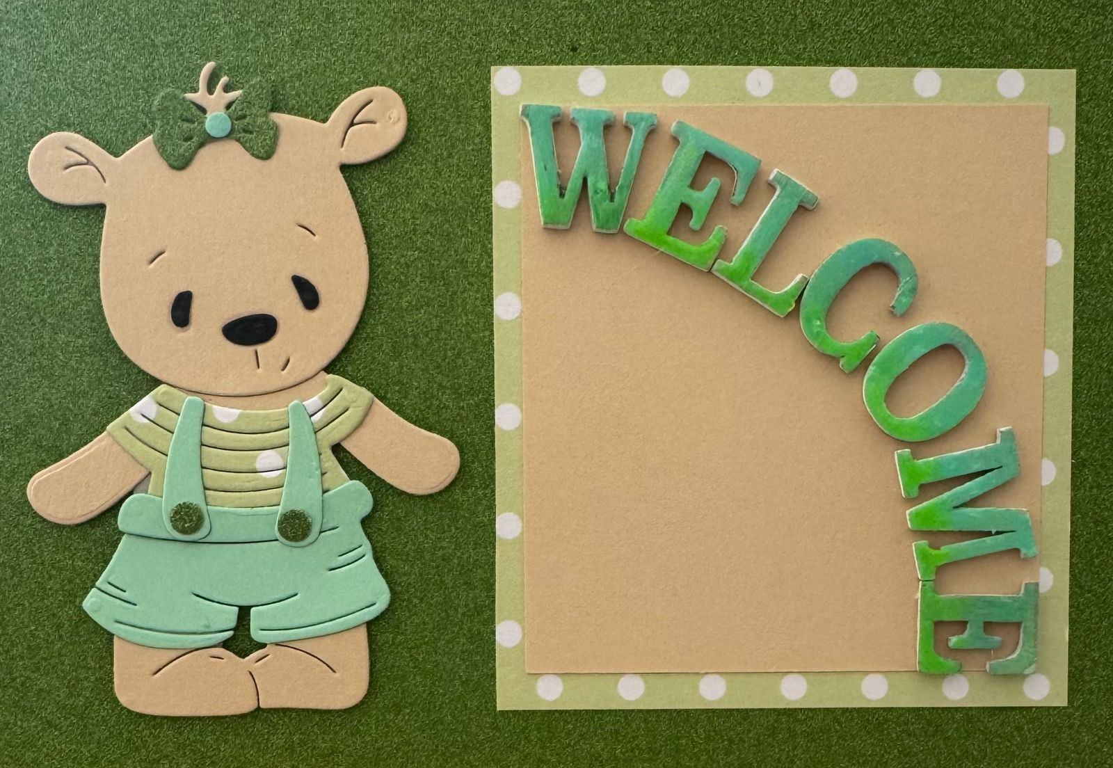 Baby Boy Welcome